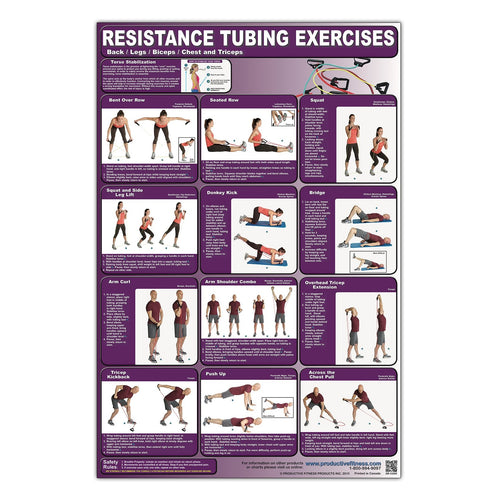 Load image into Gallery viewer, Back/Legs Stretch Tube Workout Chart
