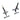 Xpeed Freestanding Squat Stand