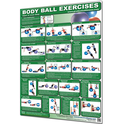 Load image into Gallery viewer, Upper Body Ball Workout Chart
