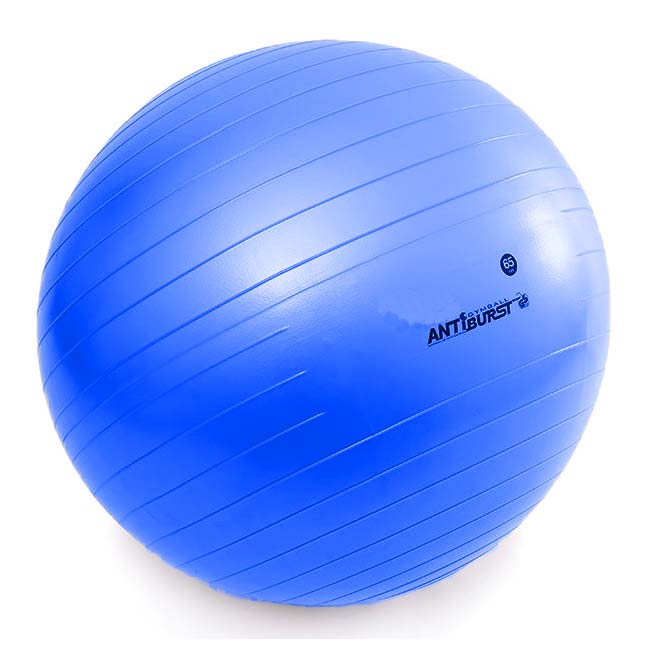 Dynamic Commercial Gym Ball